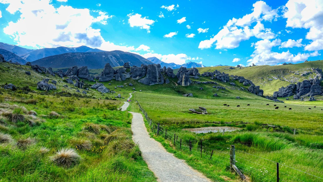 Can I Only Buy Mānuka Honey From New Zealand?
