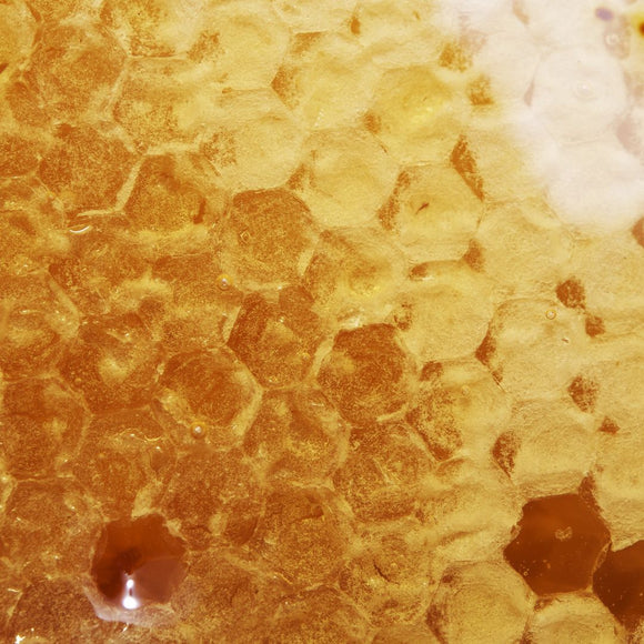 What's So Special About Pure Mānuka Honey?