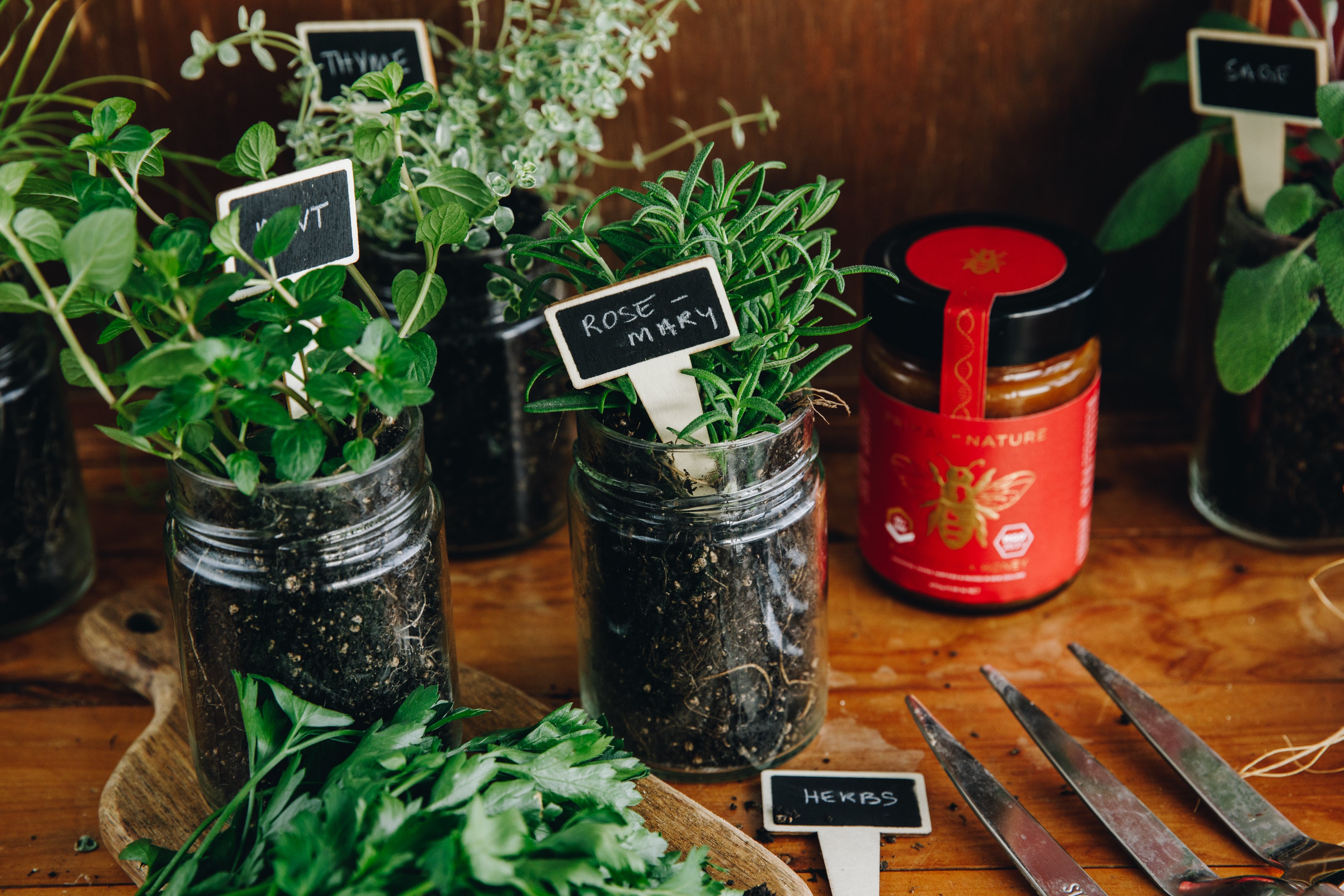 Best Manuka Honey Glass Jar Re-use ideas