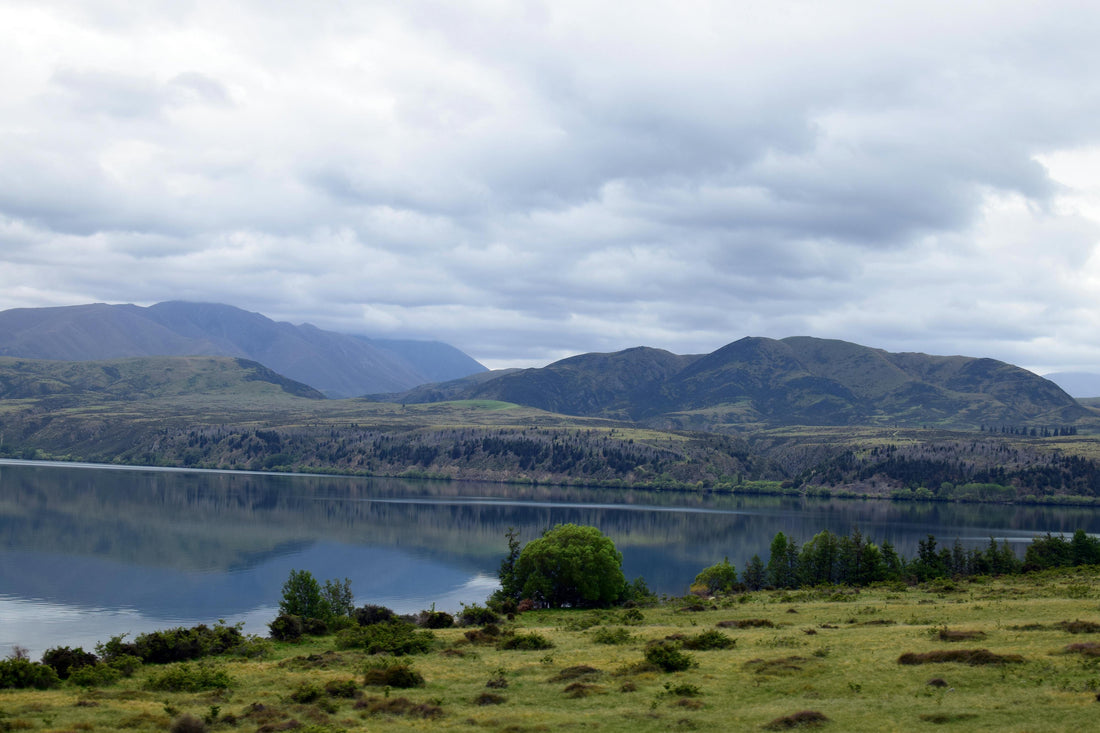 How New Zealand Produces Coveted Mānuka Honey