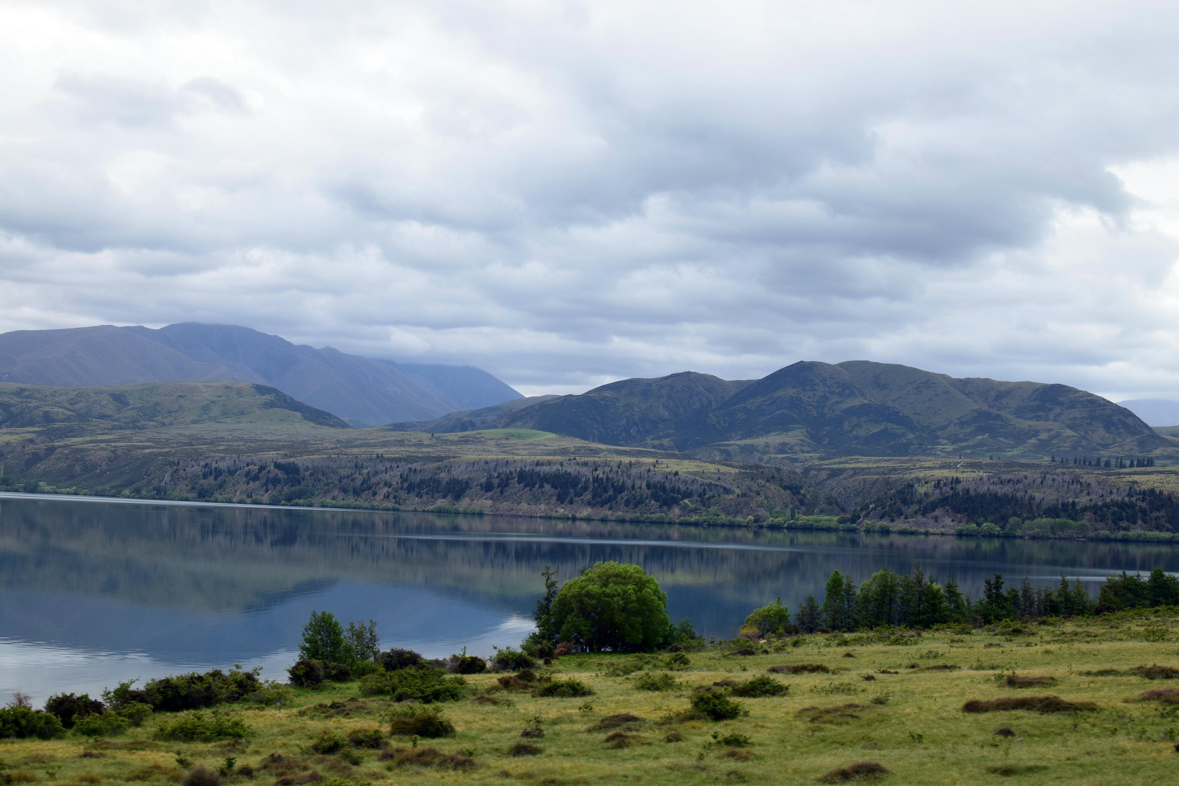 How New Zealand Produces Coveted Mānuka Honey