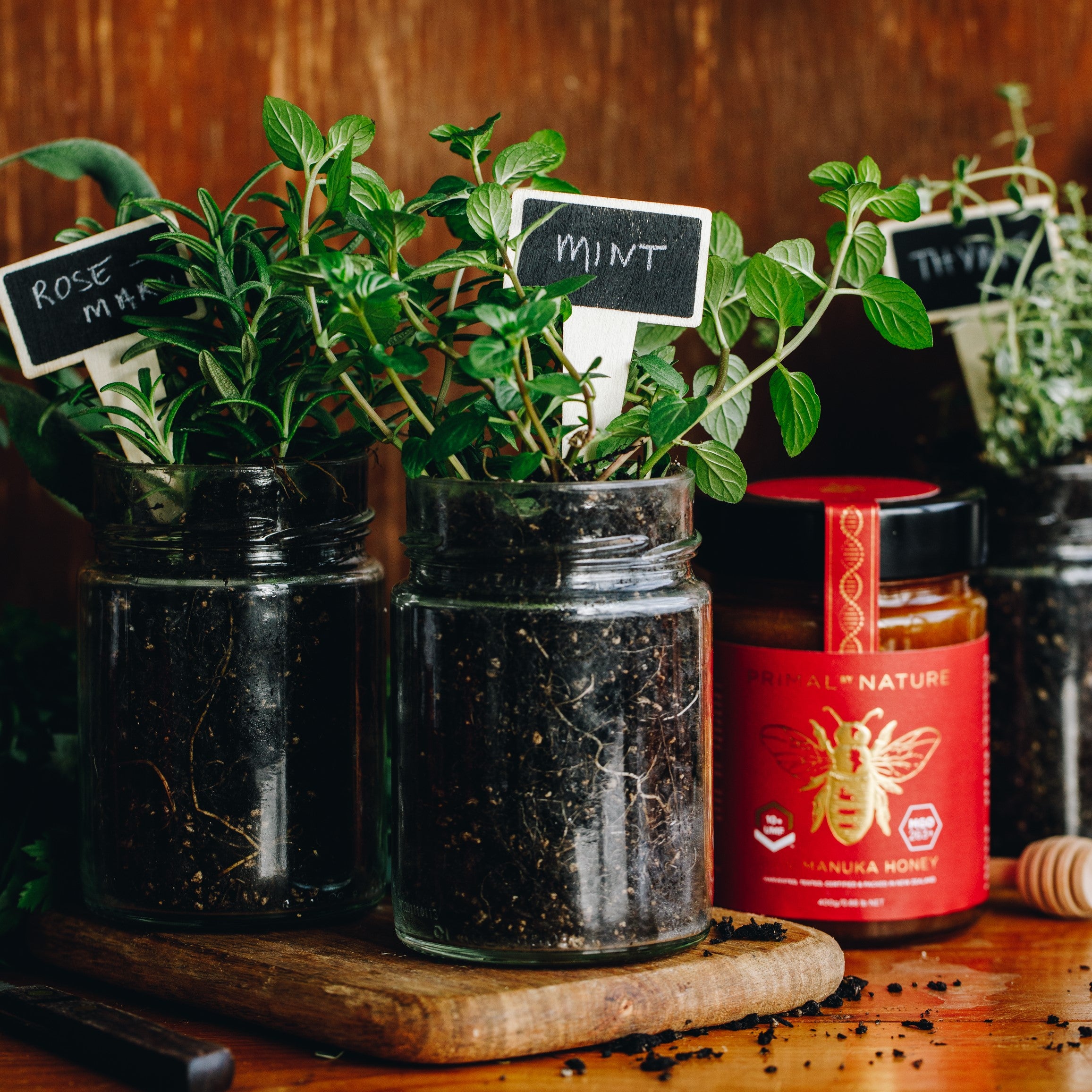 Primal by Nature Glass Jar Genuine 100% Pure Manuka Honey Jar set amongst reclaimed Glass jar herb pots